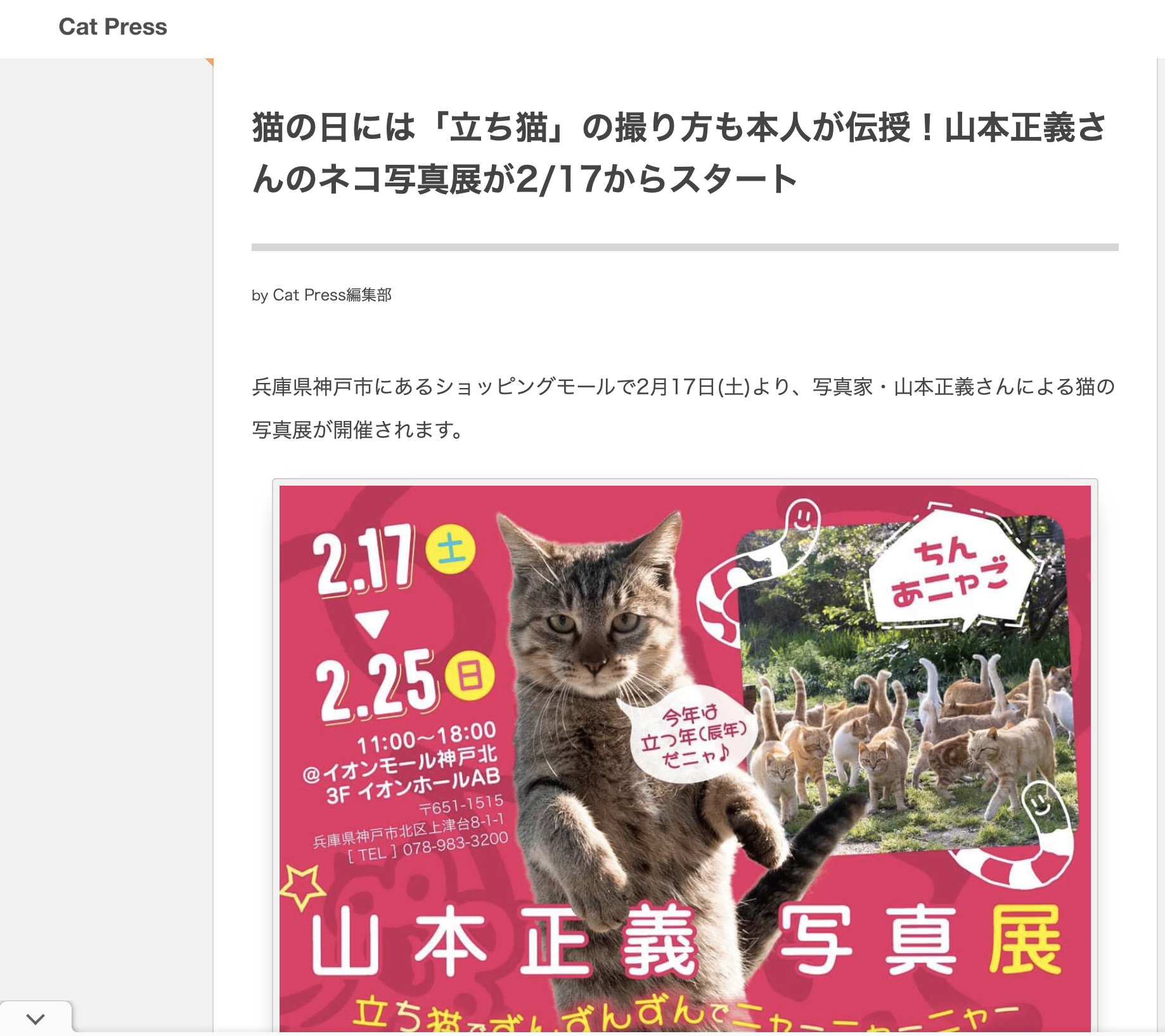 【CAT PRESS】猫の日には「立ち猫」の撮り方も本人が伝授！山本正義さんのネコ写真展が2/17からスタート