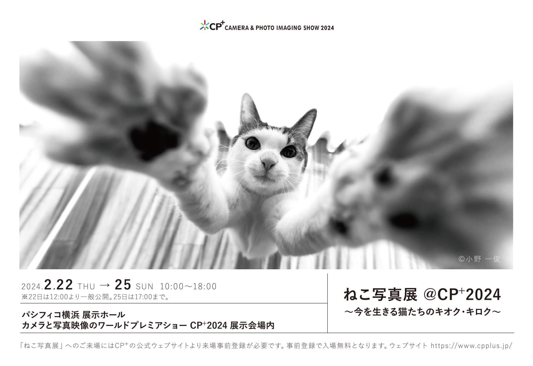 CP⁺2024 ねこ写真展 ～今を生きる猫たちのキオク・キロク